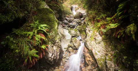 Natur – Neuseeland, Foto 5 von 20
