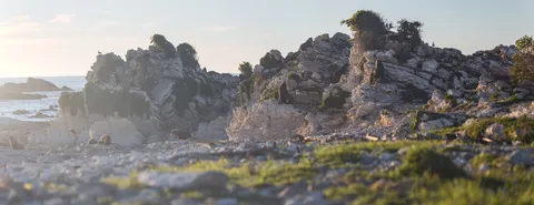 Natur – Neuseeland, Foto 7 von 20
