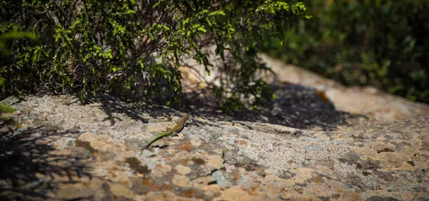 Natur – Sonstiges, Foto 4 von 4