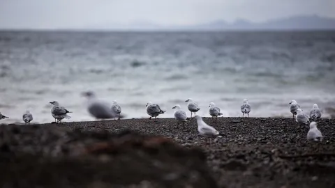Natur – Neuseeland, Foto 8 von 20