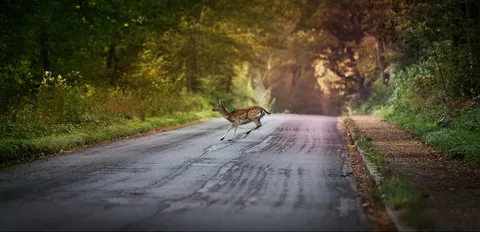 Natur – Sonstiges, Foto 3 von 4