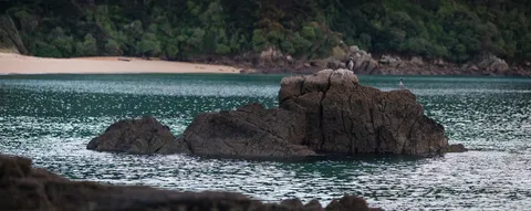 Natur – Neuseeland, Foto 17 von 20