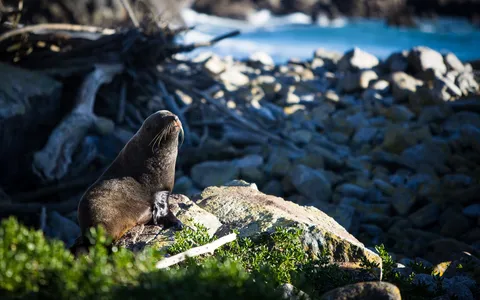 Natur – Neuseeland, Foto 20 von 20